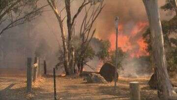 SA under extreme bushfire danger with record Christmas heat looming