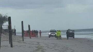 Teenage girl dead after shark attack at Queensland's Bribie Island