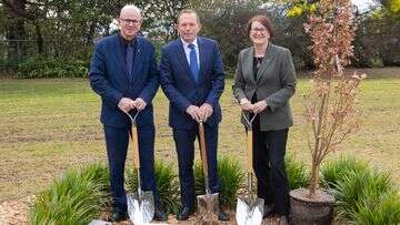 Tree planted by Tony Abbott vandalised for a second time