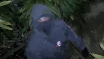 Late mum's war medals, $75k of jewellery stolen as neighbours burgled