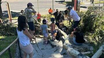 Mum and son injured by falling tree at Melbourne Shrine of Remembrance