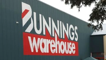 New research prompts renewed push to ban popular plant sold at Bunnings
