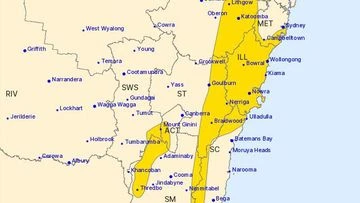 Damaging winds to hit NSW again, bureau warns