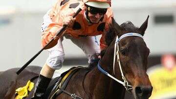 Racing mourning death of champion mare