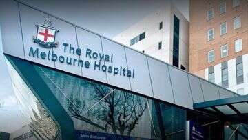 Royal Melbourne Hospital grapples with 'out of control' mice infestation