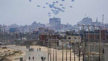 Stray dogs are eating the dead in the streets of northern Gaza