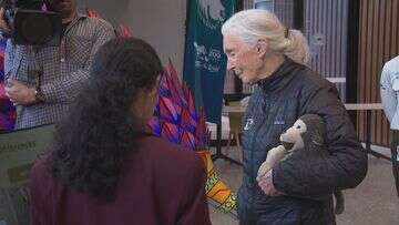 'Without hope we're doomed': Legendary conservationist Jane﻿ Goodall graces Taronga Zoo