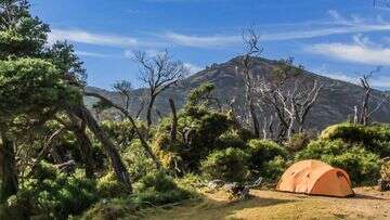 Holidaymakers in one Aussie state can camp for free very soon