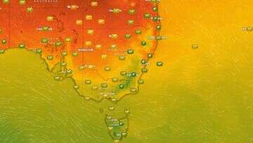 Warm temperatures and clear skies expected for NRL final and long weekend