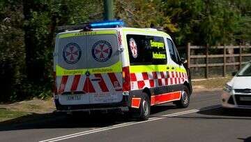 Two children found dead at home in Blue Mountains