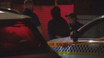 Neighbours hear screams before man appears on Adelaide street bloodied, stabbed