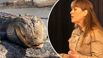 Terri Irwin blasts Katter party's 'sloppy, lazy' croc cull law