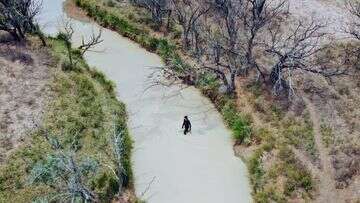 Man who vanished in outback Queensland 'likely victim' of foul play, coroner finds