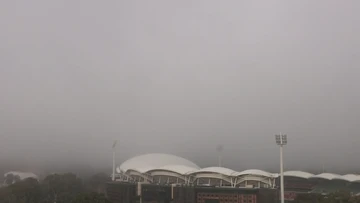 Flights delayed in Adelaide as heavy fog blankets city