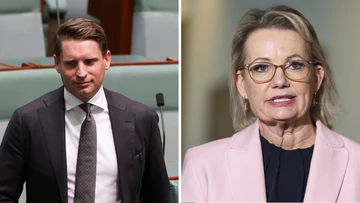 Hastie dismisses 'mischievous' speculation after immigration social media post