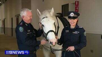 Police horses get $90 million new home