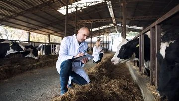 New vaccine could protect Australia's $80 billion livestock industry