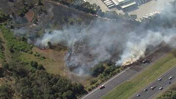 Sydney's M4 Highway closed due to out-of-control grass fire