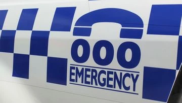 Man charged over alleged assaults, dog kicking, in NSW