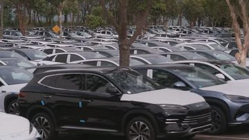 Adventure park battles council over storing BYD EVs during off-season