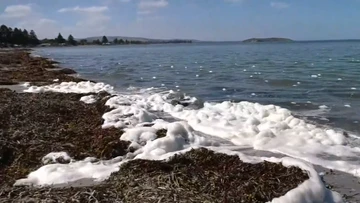 Confusion about conflicting health advice over toxic algae