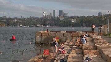 Sydney water testing reveals bacteria-ridden particle polluting ocean pools