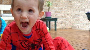 Scrutiny of 'intensive' William Tyrrell search continues