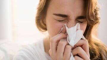 Why an early hay fever season has prompted a warning from doctors