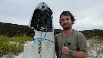 'Bit into the board': WA surfer fights off shark