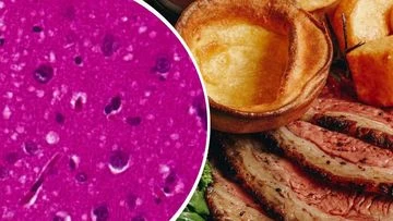 How a beloved national dish turned deadly