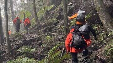 Missing bushwalker rescued after near-24-hour search in NSW