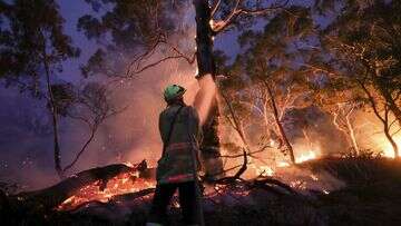 Deaths of 1.5 million a year linked to pollution caused by bushfires, study finds