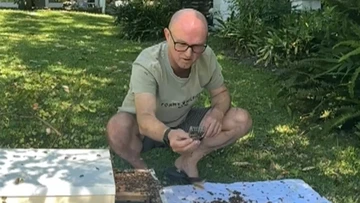 Meet the man handling swarms of bees in the most Aussie way possible