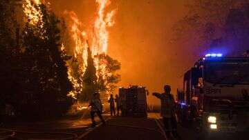 'Buried in the ice is a warning': Alarm sounded on Australia's bushfire risk