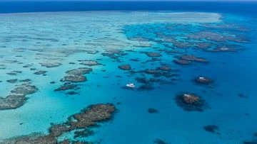 Foreign tourists drown near Great Barrier Reef