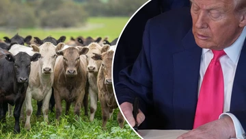 Donald Trump backflips on Australia's biggest export to US