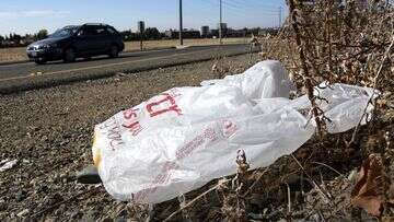 US state enacts total ban on plastic shopping bags