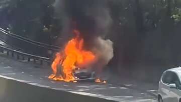 Car erupts into flames on Sydney road