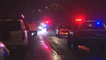 Three dead in alleged domestic violence attack in Sydney