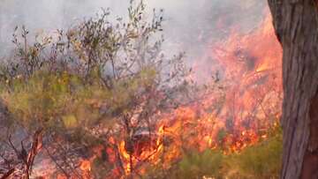 South Australia braces for potentially devastating bushfires