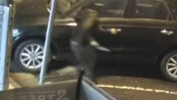 Woman held at knifepoint in shocking early morning carjacking