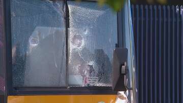 Seventeen including teen, 13, arrested after mass brawl on Adelaide bus