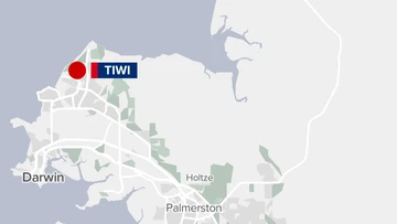 Girl, seven, dies after being struck by fallen palm tree
