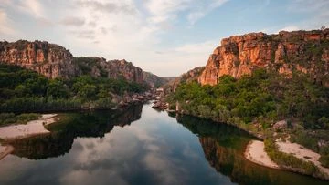 Four face charges of stealing crocodile eggs in Kakadu