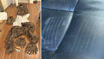 They claimed a bear damaged luxury cars, then authorities found this
