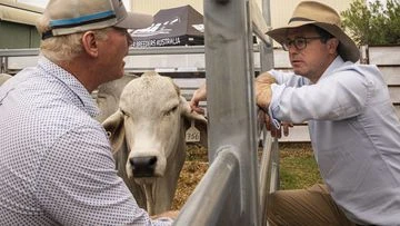 Nationals say agriculture minister did not consult scientific advisory group on US beef ban