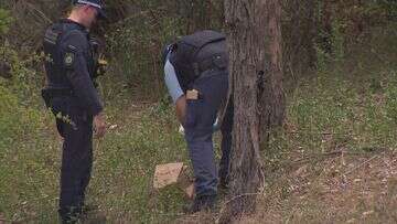 Police arrest three teenagers after operation on quiet Sydney street