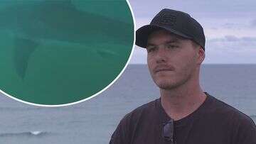 'Pretty scary': Surfer's close call with monster great white shark