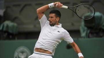 Djokovic 'disgusted in himself' during Demon's dream start