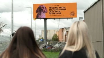 Mystery as seven-year-old cavoodle goes missing for months